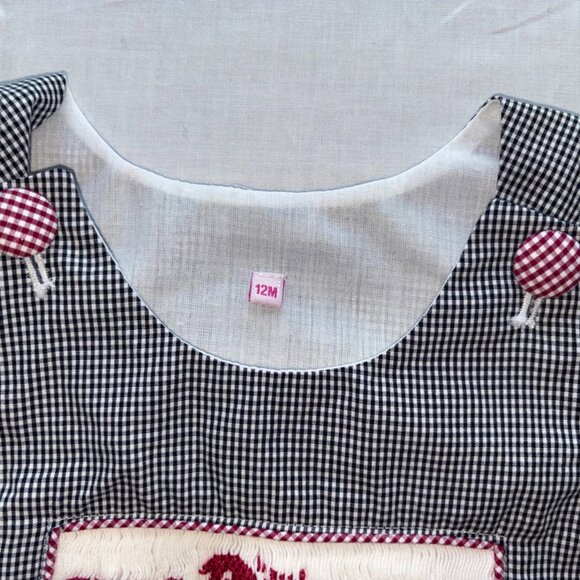Baby USC South Carolina Gamecocks Smocked Gingham Bubble Unisex Forever to Thee - Picture 3 of 7